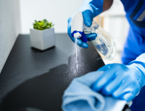 What to Expect from Your Janitorial Service
